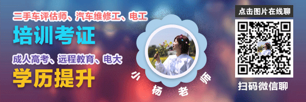 全球新能源汽车销售量排行榜（2021年4月） 国产新能源汽车进步迅猛